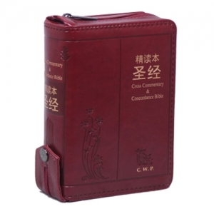 중국어 정독본 주석 성경-소(빨강/중국어 톰슨2 주석 성경) 