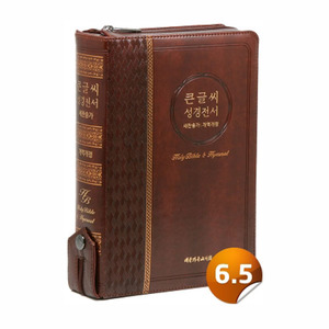 [개역개정]성경전서 [21C]찬송가-NKR73EBU(브라운)